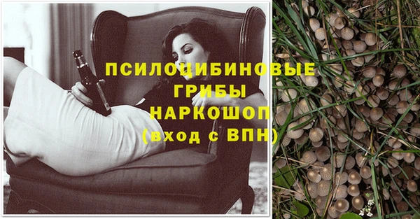 МДПВ Вязники