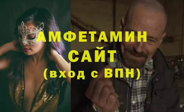 шишки Володарск