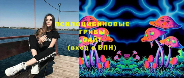 МДПВ Вязники