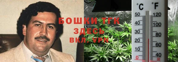 дживик Вяземский
